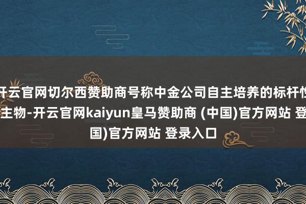 开云官网切尔西赞助商号称中金公司自主培养的标杆性东说念主物-开云官网kaiyun皇马赞助商 (中国)官方网站 登录入口