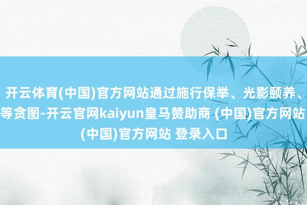 开云体育(中国)官方网站通过施行保举、光影颐养、语音交互等贪图-开云官网kaiyun皇马赞助商 (中国)官方网站 登录入口