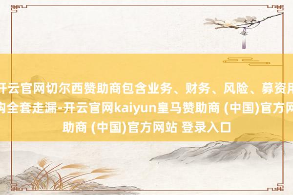 开云官网切尔西赞助商包含业务、财务、风险、募资用途、股权架构全套走漏-开云官网kaiyun皇马赞助商 (中国)官方网站 登录入口